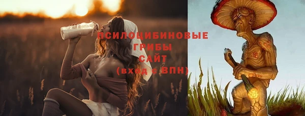 ешки Зерноград