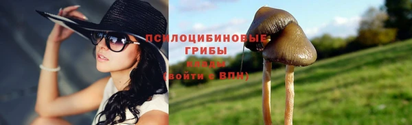 ешки Зерноград