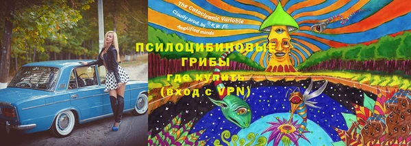 прущая мука Зеленодольск